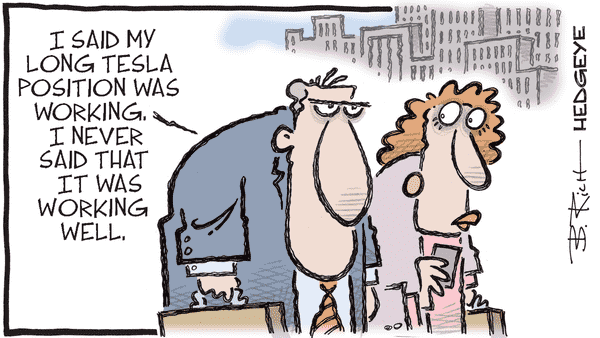 Cartoon of the Day - 07.16.2025 long TESLA cartoon