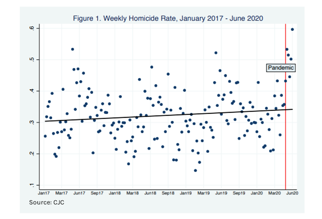 America’s Rising Crime Rate. NewsWire
